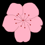 97视频下载最新版